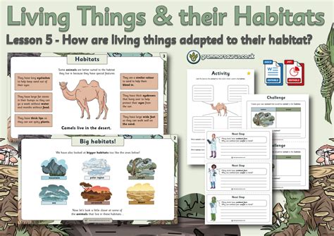 Year 2 Science Living Things And Their Habitats How Are Living Things Adapted To Their