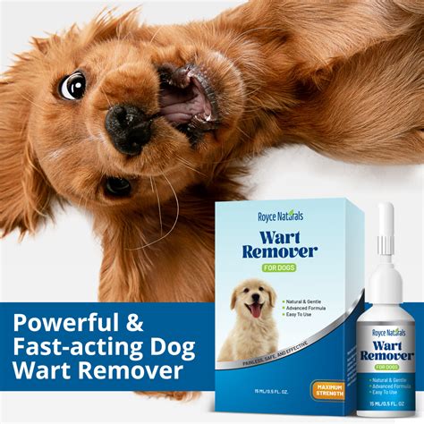 Dog Wart Remover, Natural Dog Wart Removal Treatment, Rapidly ...