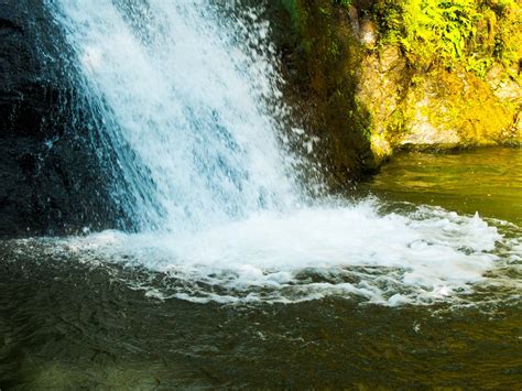 Images Gratuites paysage arbre la nature Roche cascade rivière