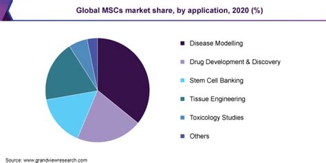 Mesenchymal Stem Cells Market Size Report 2021 2028