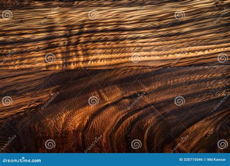 Rich Brown Wood Grain Texture Background Stock Illustration