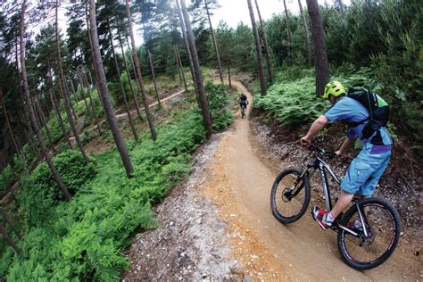 Swinley Forest - Mountain Biking UK