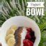 Greek Yogurt Bowl Your Life Nutrition