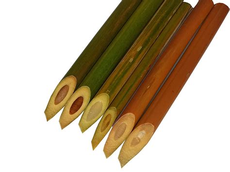 BIMA Bamboo English Arabic Calligraphy Pen Set Size 20cm Length