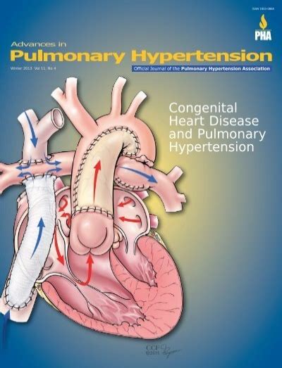 Congenital Heart Disease And Pulmonary Hypertension Winter 2013