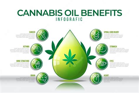 Premium Vector | Cannabis oil and its benefits in an infographic