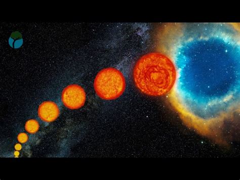 Ciclo C Smico Vida Y Muerte De Las Estrellas En El Fascinante Mundo De