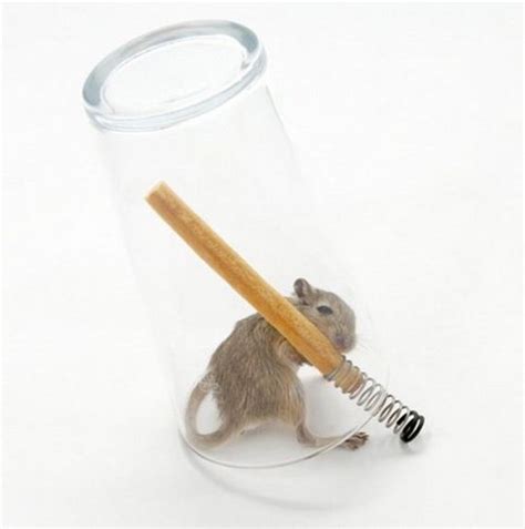 Creative Mouse Traps - Barnorama