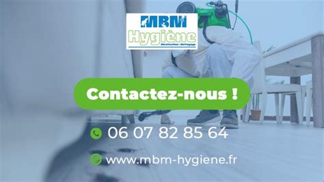 Comment Se Passe Une D Ratisation Mbm Hygiene