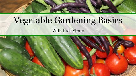 Vegetable Gardening Basics Our Stoney Acres