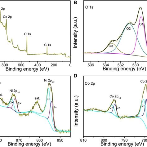 X Ray Photoelectron Spectroscopy Xps Spectra Of A Survey Spectrum Download Scientific