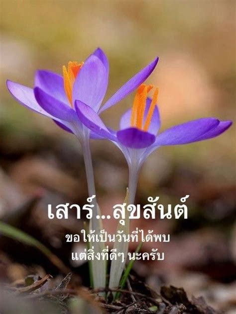 Pt Adl Kullan C N N Happy Saturday In Thai Panosundaki Pin