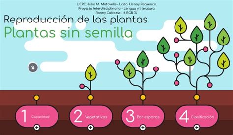 reproducción de las plantas