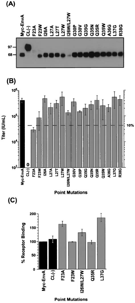 Effects Of Aslv Fusion Peptide Domain Point Mutations On Virion