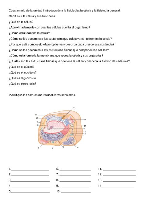 Cuestionario cap Ãtulo 2 la c Ãlula y sus funciones Cuestionario de