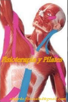 Fisioterapia Pilates Reeducacion Postural Auriculoterapia