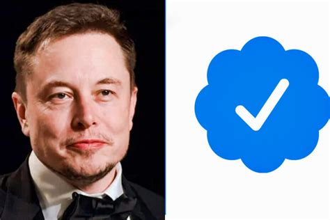 Elon Musk Announced On November 15 That Twitter Blue Would Be Available