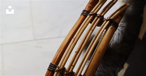 A violin on a tile floor photo – Free Brown Image on Unsplash