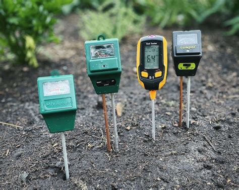 The 5 Best Soil PH Testers In 2025