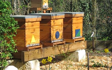 Les Abeilles Ouvrent Leurs Ruches