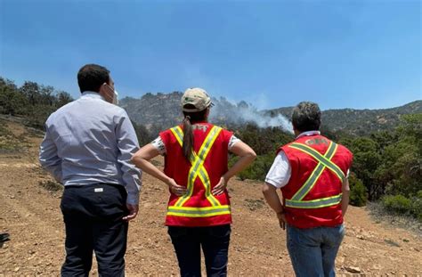 Incendios Forestales En Ohiggins La Araucanía Ñuble Y Los Lagos Son