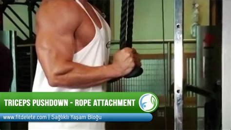 Triceps Pushdown Rope Attachment Youtube