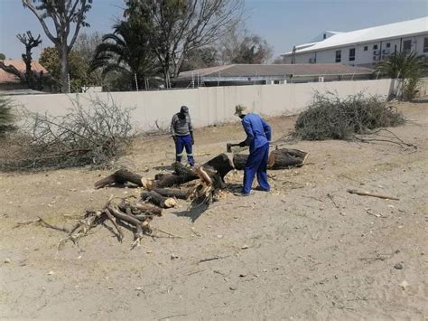 Oshakati Town Council Warns Tree Fellers Namibia