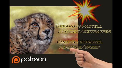 Gepard In Pastell Echtzeit Zeitraffer Cheetah In Pastel Realtime Speed