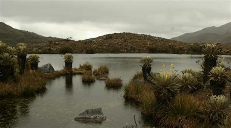 Parque Nacional Natural El Cocuy Parques Nacionales Naturales De Colombia