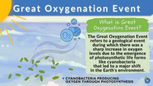 Great Oxygenation Event Definition And Examples Biology Online Dictionary