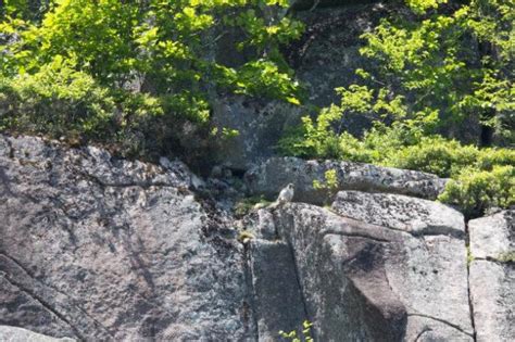 Trail Closure for Peregrine Falcon Nesting 2016 - Acadia National Park ...