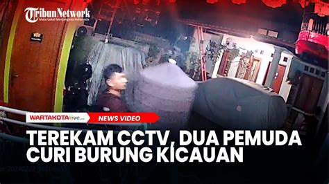 Terekam CCTV Dua Pemuda Curi Burung Kicauan Di Cluster Cipayung Jaya