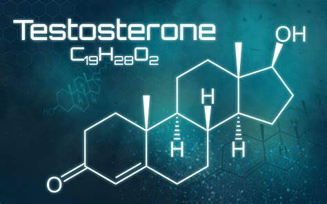 Natural Testosterone Treatment: Benefits for Women