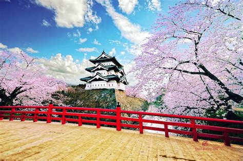 10 Best Cherry Blossom Spots In Japan Where To View Japans Cherry