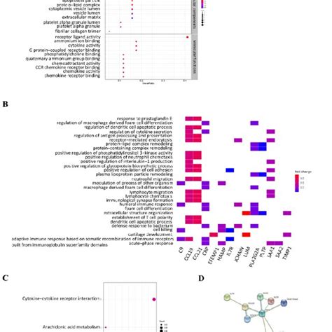 Functional Enrichment Analysis Of Differentially Expressed Genes In