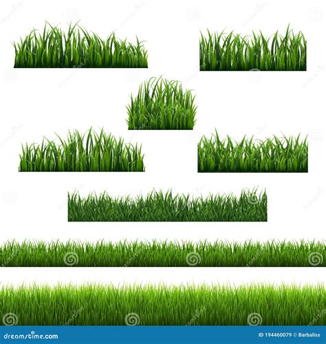 Green Grass Frames White Background Stock Vector Illustration Of Nature Pasto 194460079