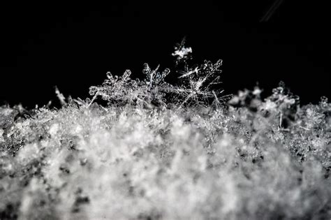 Premium Photo Close Up Of Snowflakes During Winter