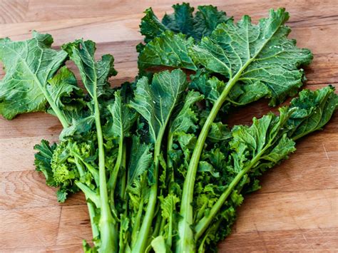 Cime di rapa tutto quello che c è da sapere su proprietà stagione e