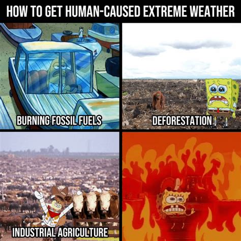 Spongebob Memes Made In Bikini Bottom Know Your Meme