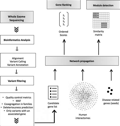 Methodological Workflow After Whole Exome Sequencing Analysis Of 27