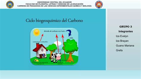 Ciclo Biogeoquímico Del Carbono Ppt