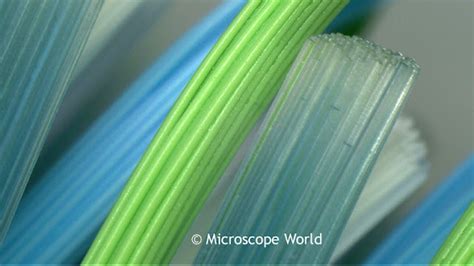 Microscope World Blog: Toothbrush Under the Microscope