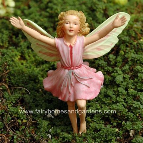 Fairy Homes And Gardens The Rose Bay Willow Herb Fairy Cicely Mary