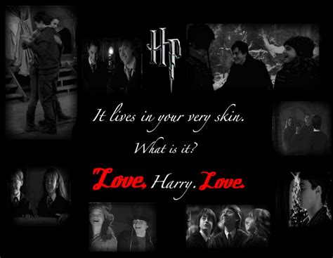 Harry Potter Love Harry Potter Photo 20862897 Fanpop