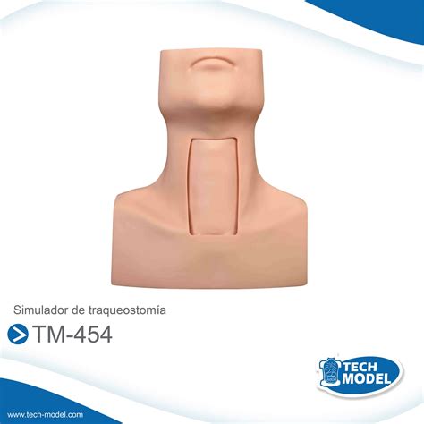 SIMULADOR DE TRAQUEOSTOMIA TM 454 TECH MODEL Importadora Andina EIRL