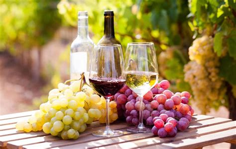 Quais Os Tipos De Uvas Mais Utilizados Para A Produ O De Vinho