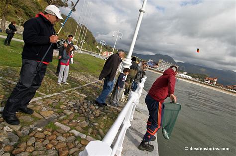 Rivers of Asturias: sport fishing Asturias | asturias.com