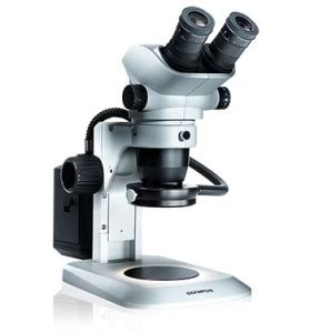 Olympus SZ61 Microscope | Microscope Service and Sales