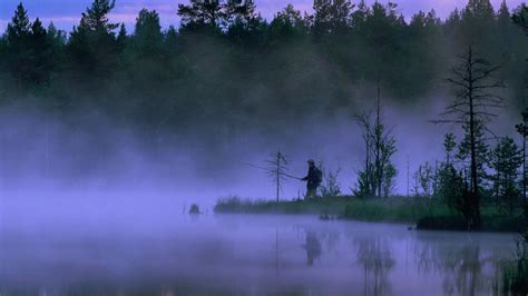 Trout Fishing Wallpaper 45 Images