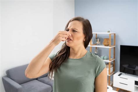 How To Get Rid Of Ammonia Smell In The House Enviroklenz